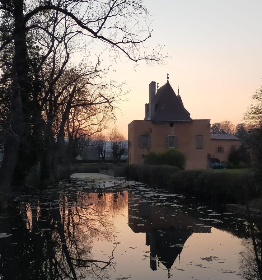 Chateau De La Venerie Denice Exterior photo