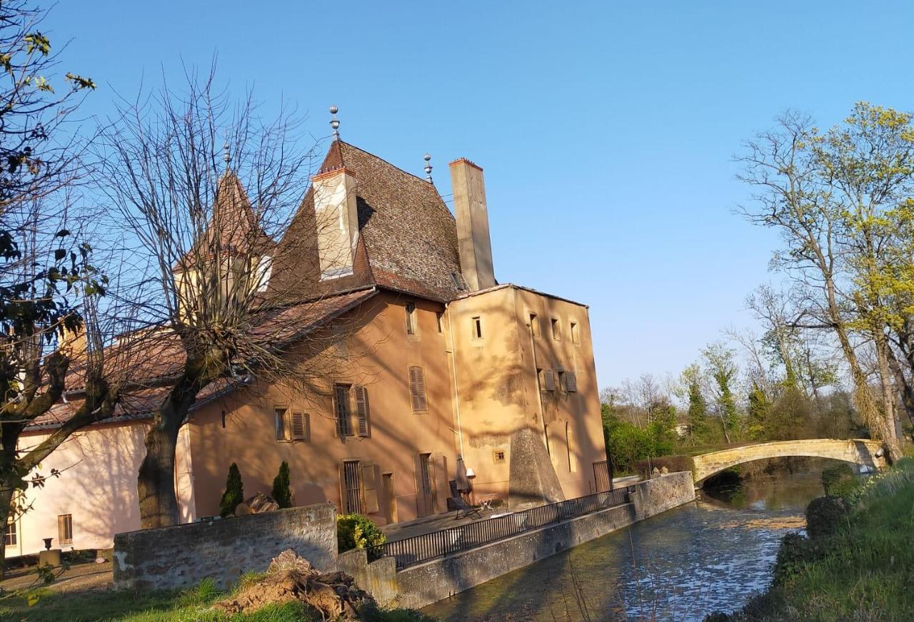 Chateau De La Venerie Denice Exterior photo