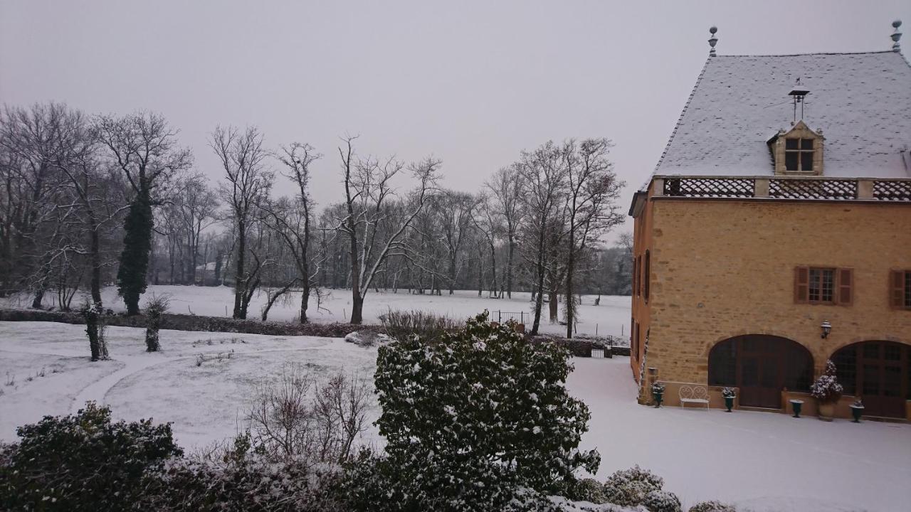 Chateau De La Venerie Denice Exterior photo